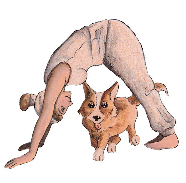 Illustration Yogaposition "Hund"