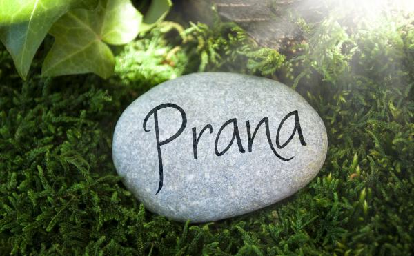 Stein mit Aufschrift Prana