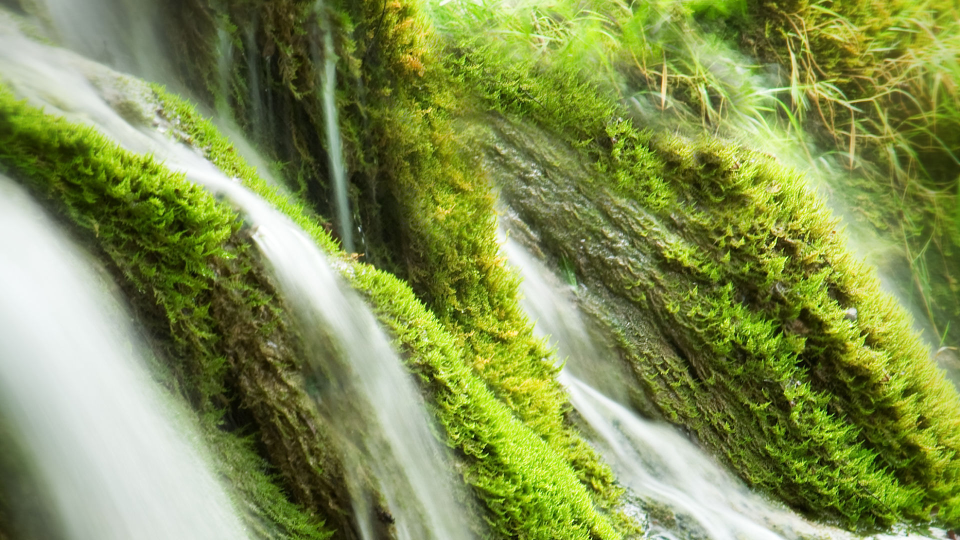 Wasserfall im Grünen